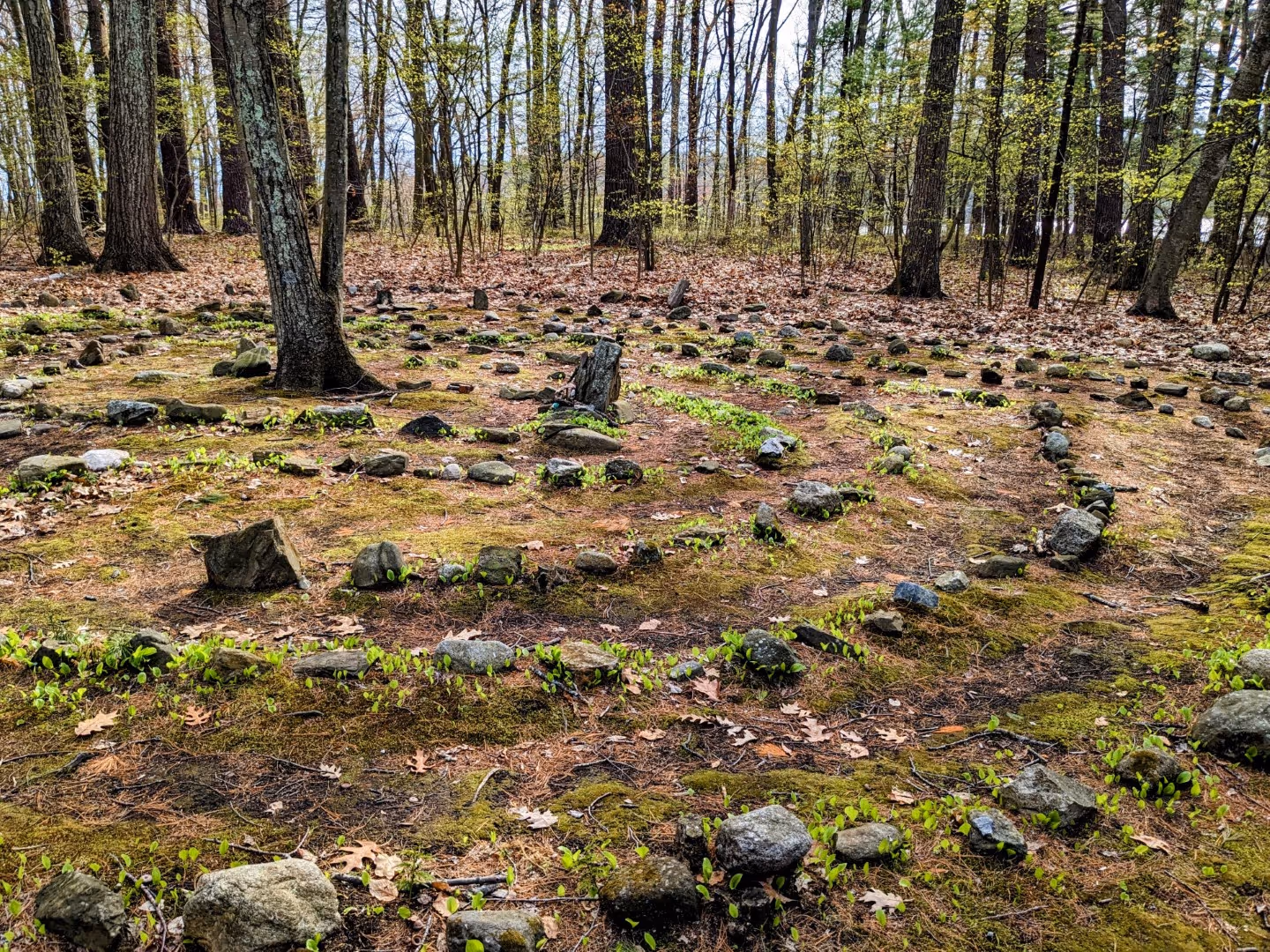 Rolling Ridge Grounds - outdoor labyrinth