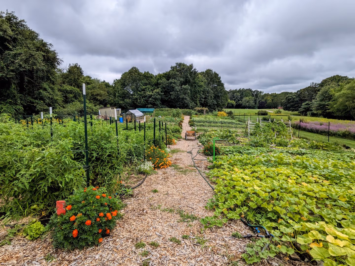 Rolling Ridge Grounds - the Giving Garden