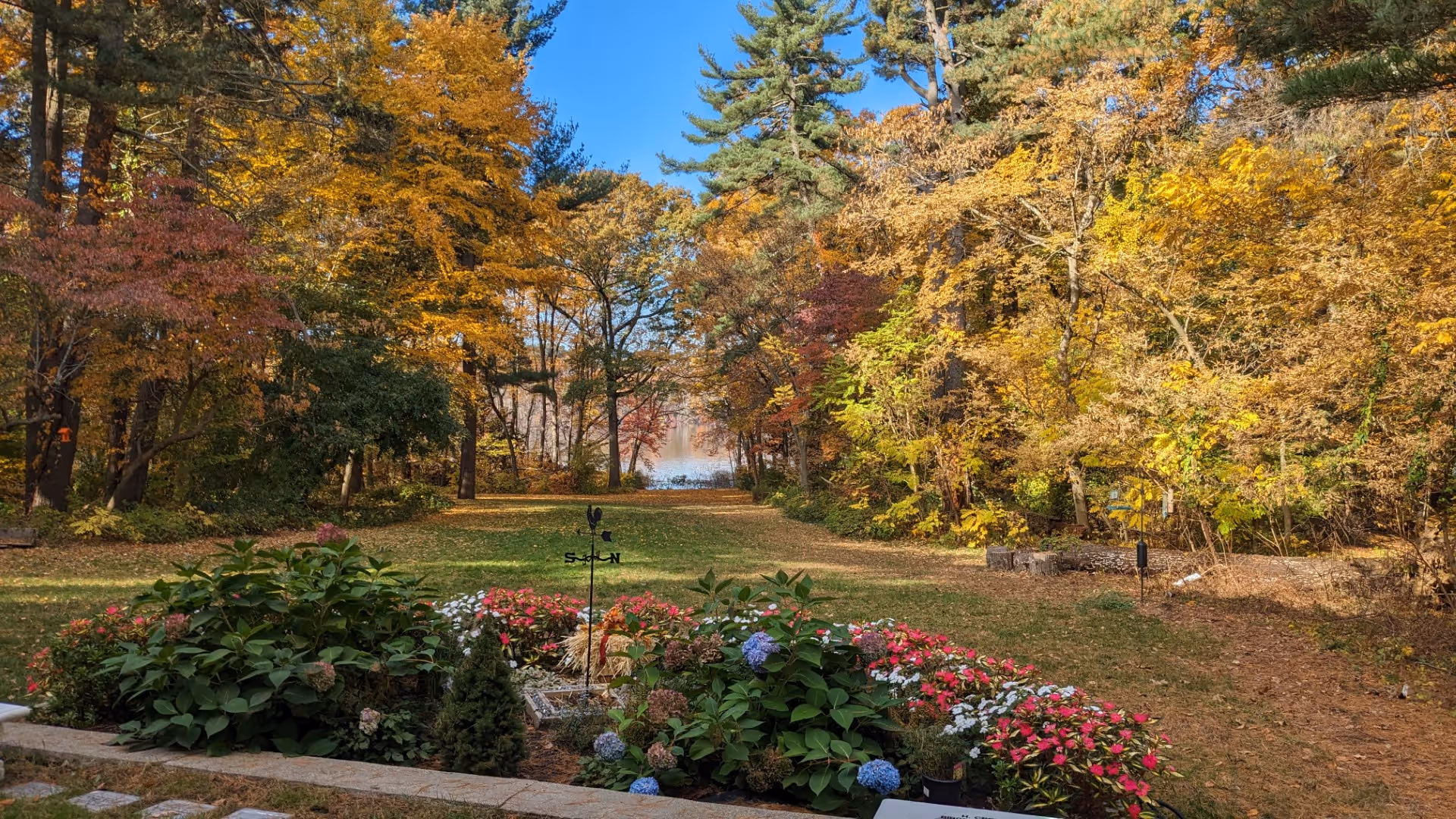 Rolling Ridge Grounds - Grande Allee in fall
