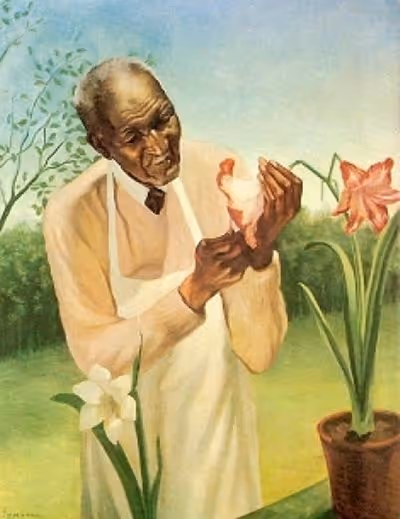 program image