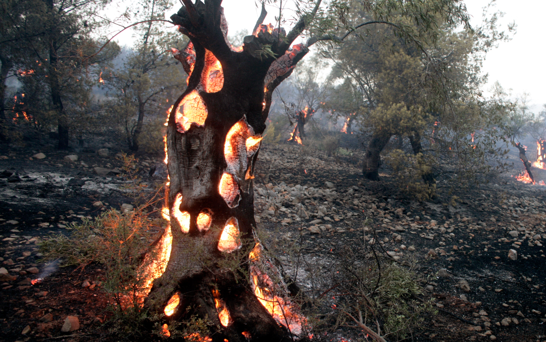 Earth System Insights: A Joint Climate Briefing for EU Policymakers