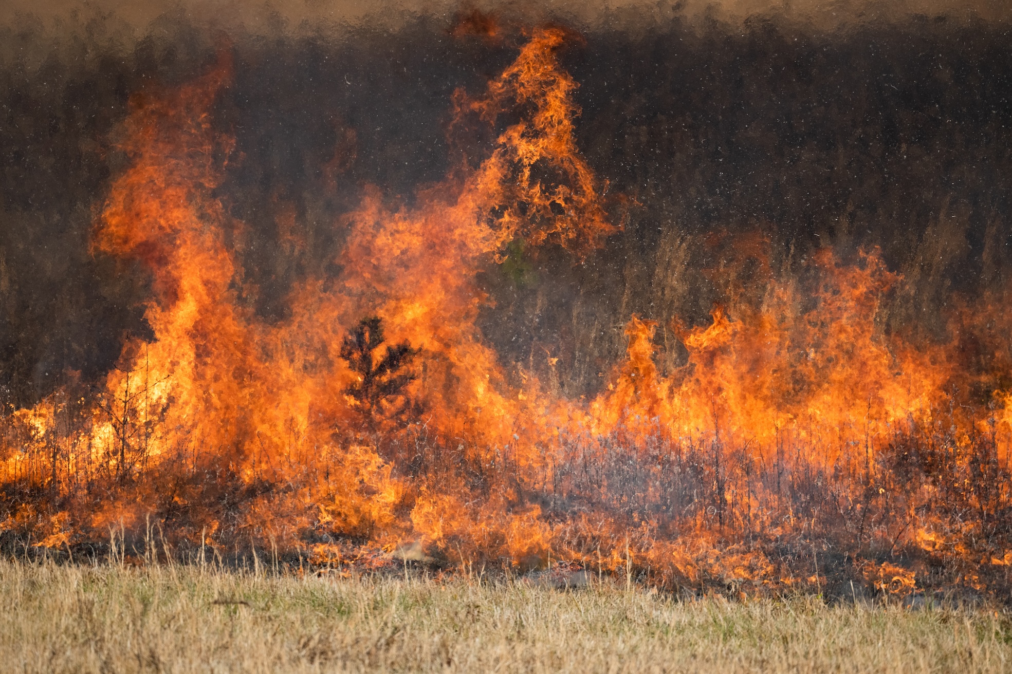 L'incendie dans l'Aude est stabilisé mais le vent inquiète les autorités
