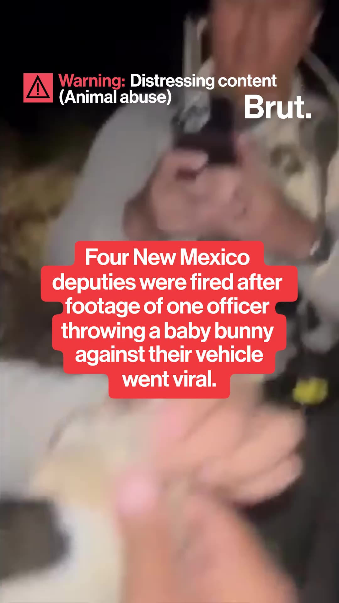 Four New Mexico deputies were fired after footage of one officer throwing a baby bunny against their vehicle went viral. 
