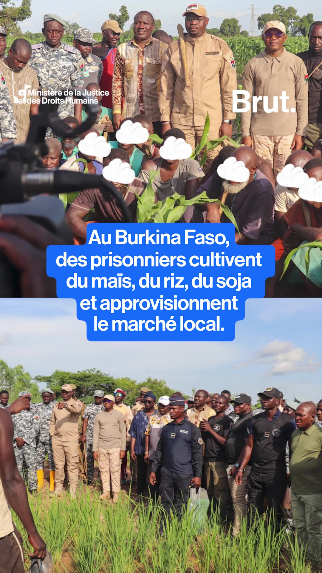 Burkina Faso : des prisonniers travaillent dans des champs pour purger leur peine.