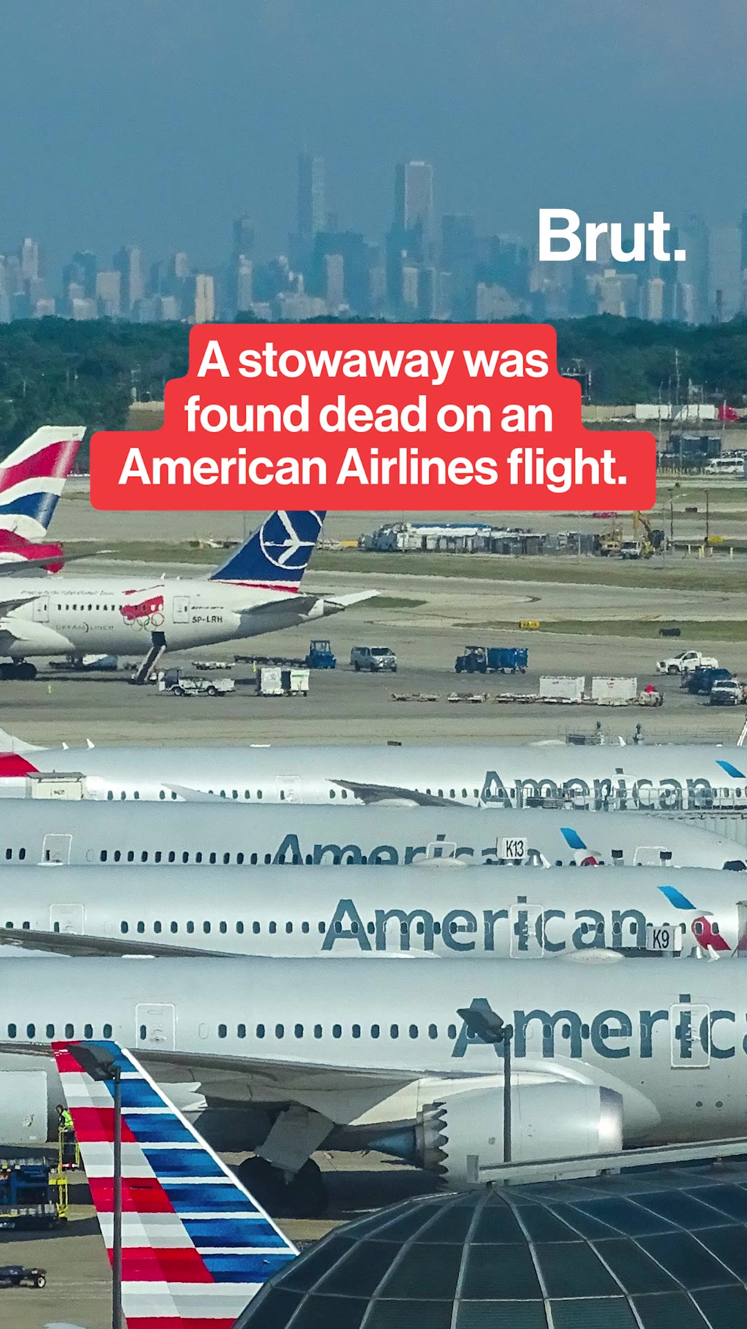 a-stowaway-was-found-dead-on-an-american-airlines-flight