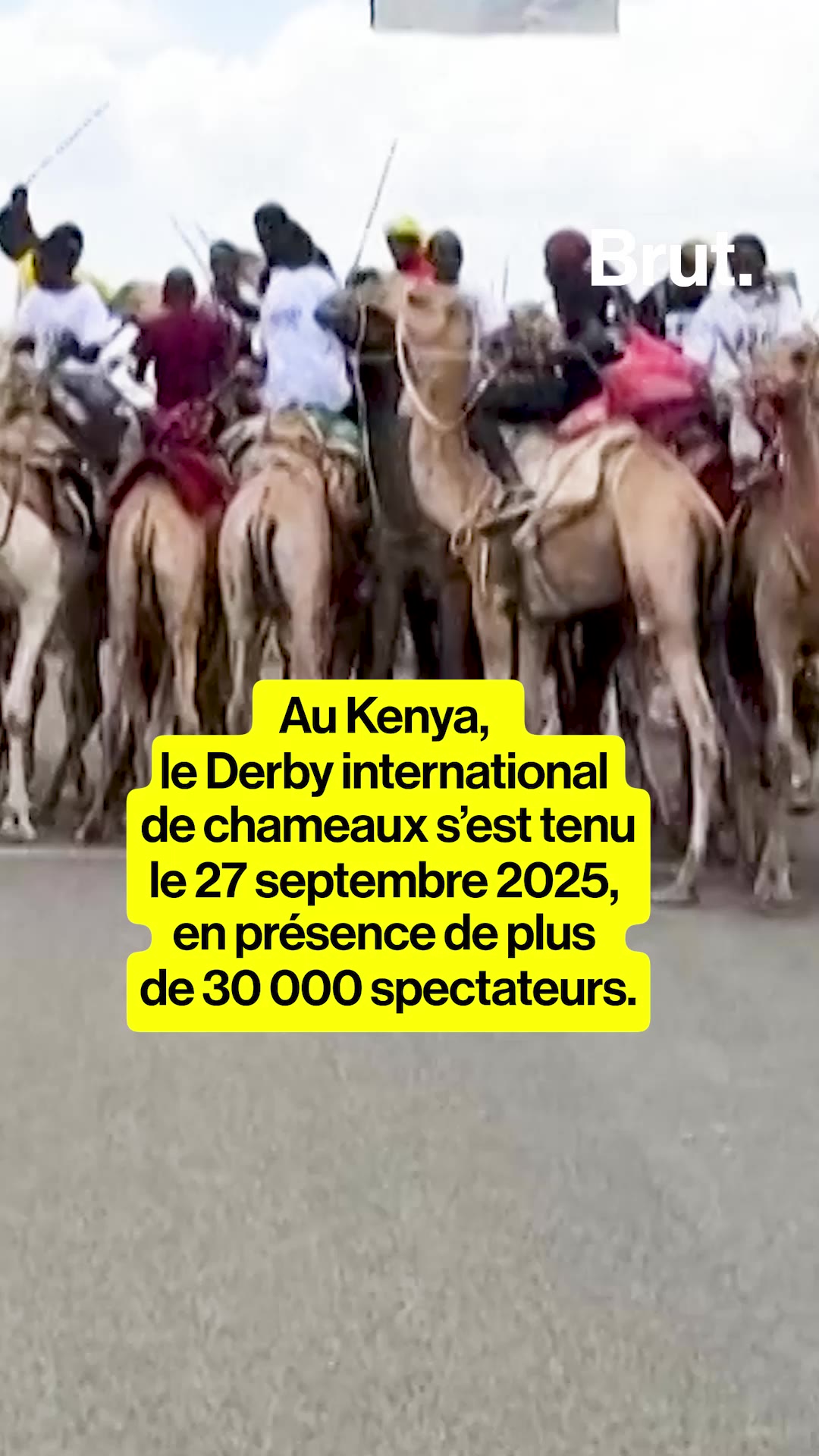 connaissez-vous-le-camel-derby-du-kenya