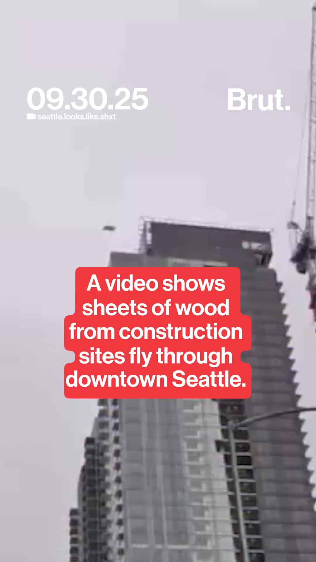 plywood-flys-through-the-sky-in-seattle
