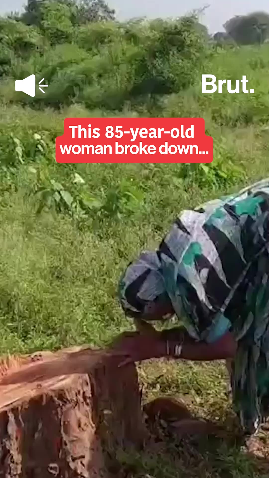 she-cried-for-a-tree