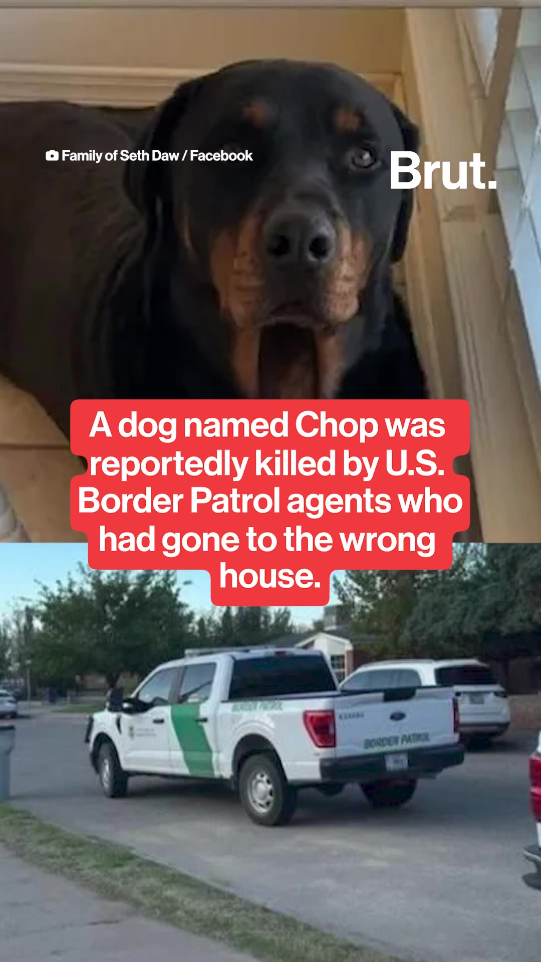 A dog named Chop was shot and killed by ICE agents.