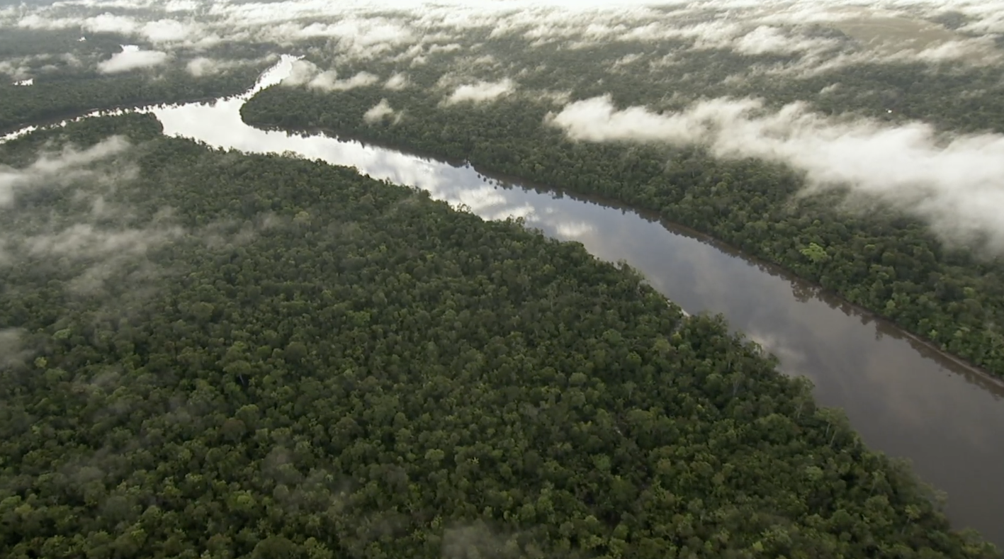 COP 30 : l'Amazonie accueille l'une des négociations climatiques les plus difficiles de mémoire récente