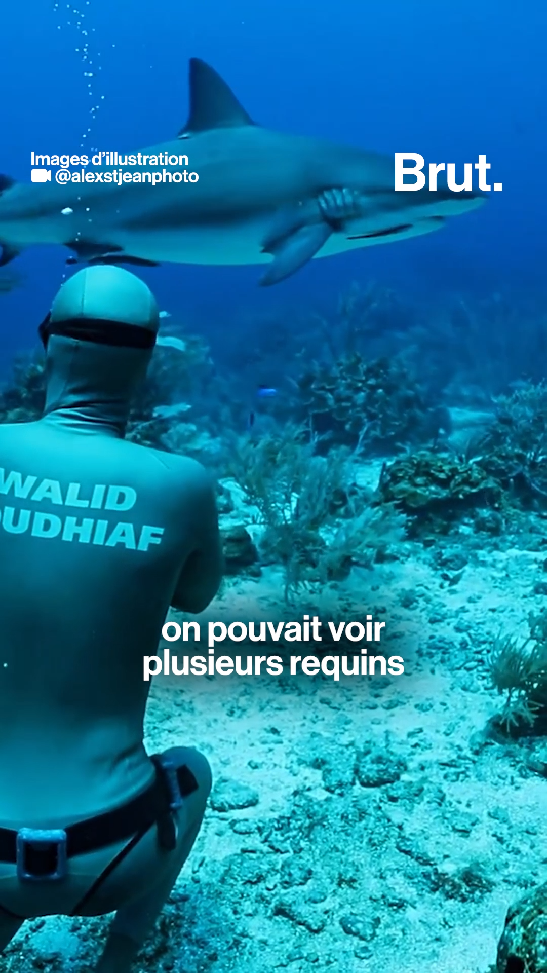 Rencontre avec Walid Boudhiaf, champion d’apnée