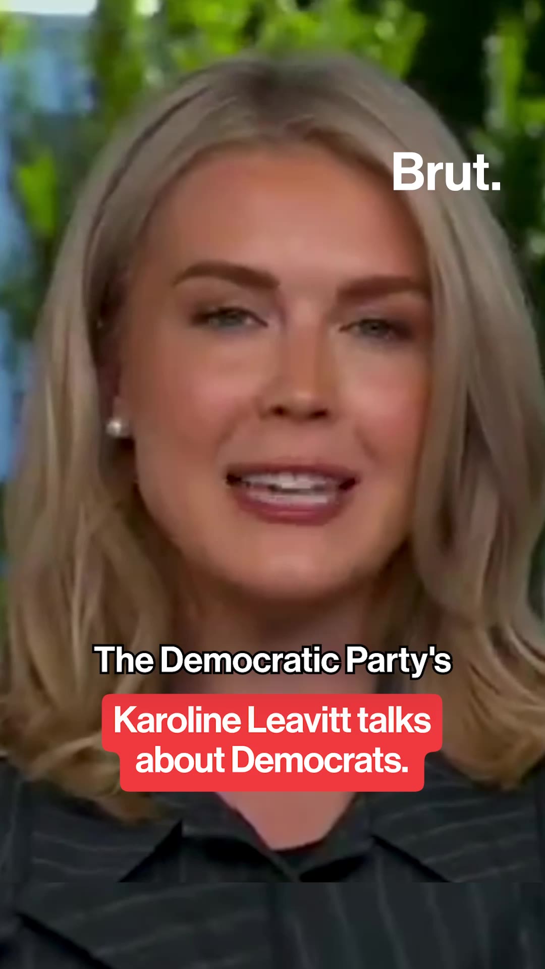 Karoline Leavitt talks about Democrats.