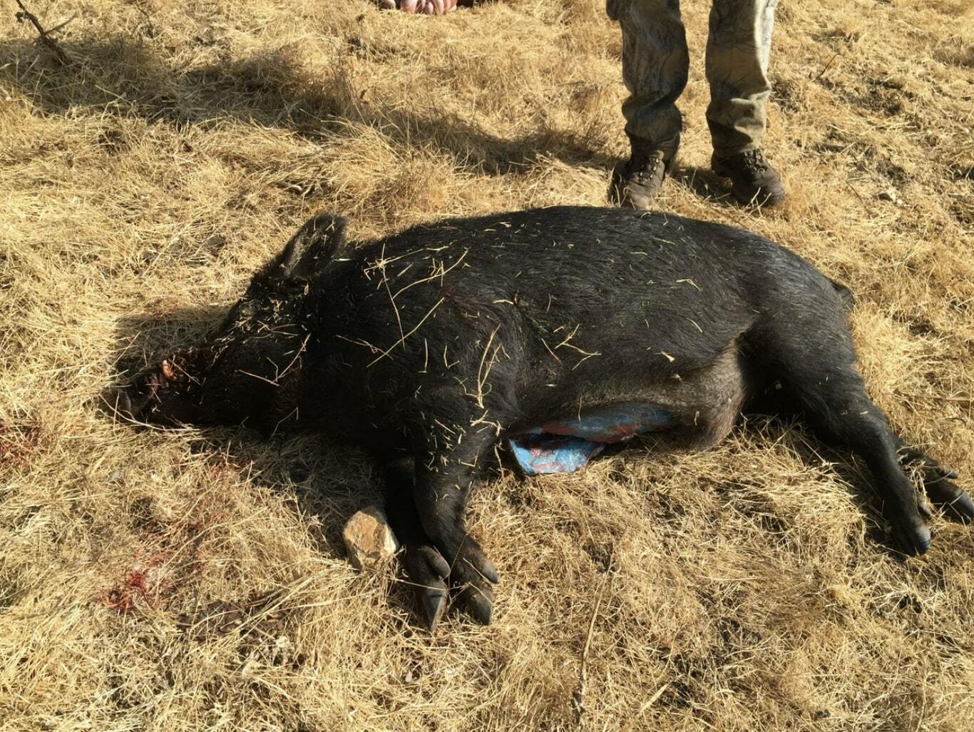 __wf_reserved_inherit