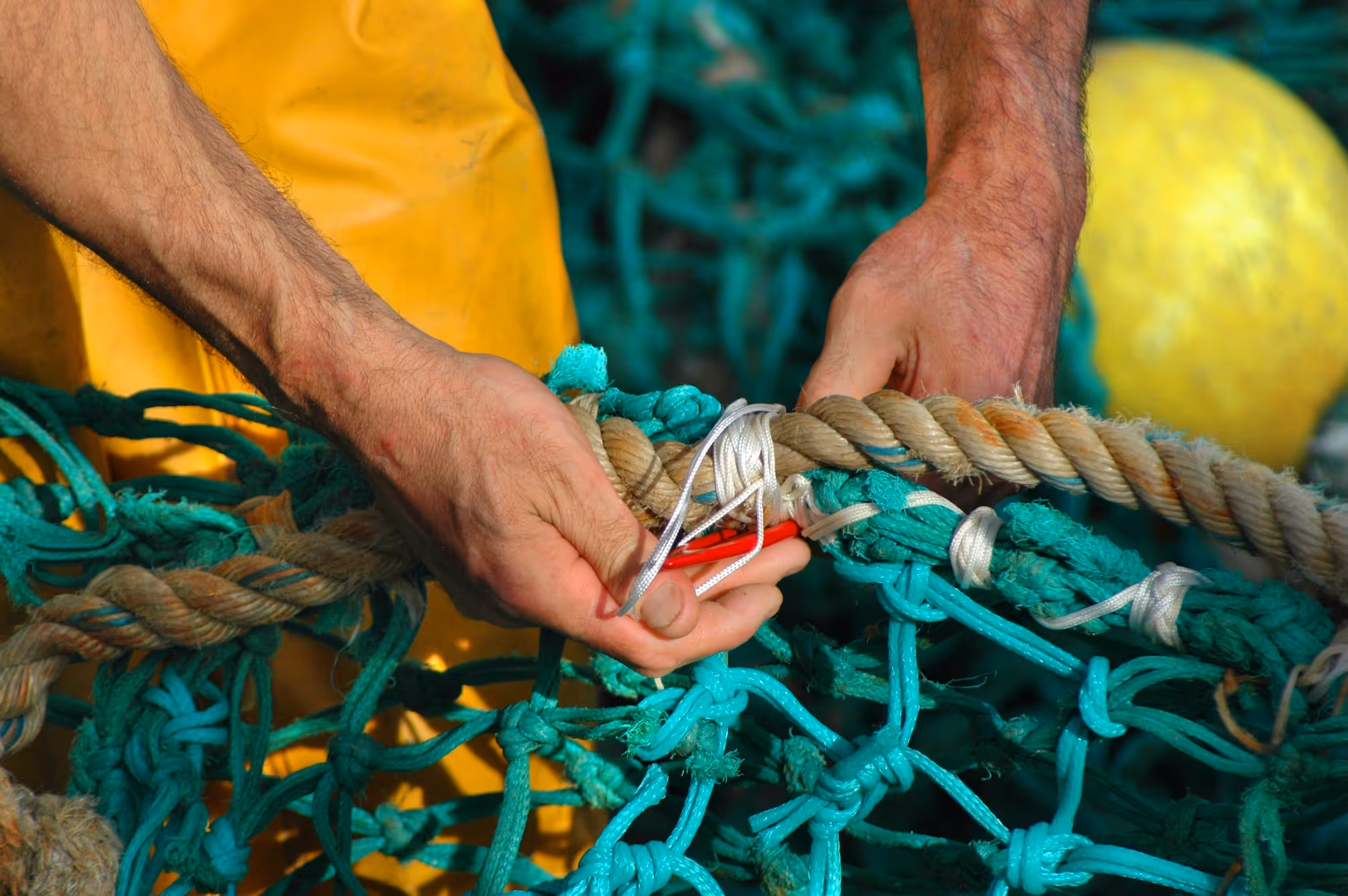 Transport, numérique, agriculture… En Bretagne, comment agit concrètement l’Union européenne ?
