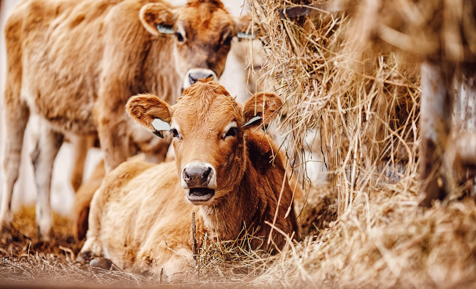 607.503 visiteurs pour la 61e édition, fréquentation en légère hausse 607.503 visiteurs pour la 61e édition, fréquentation en légère hausse