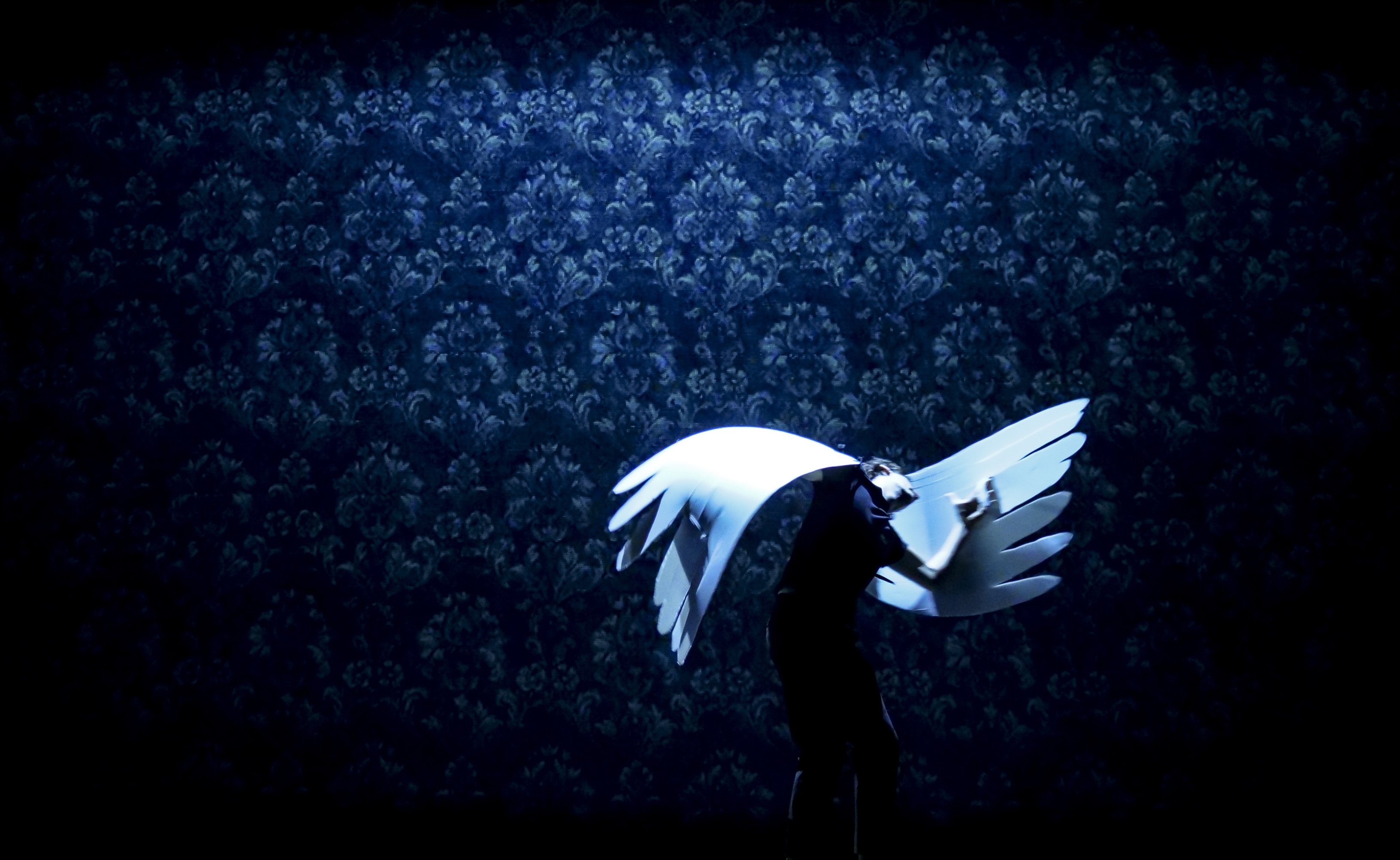 “Vers les métamorphoses”, la magie d’un voyage onirique