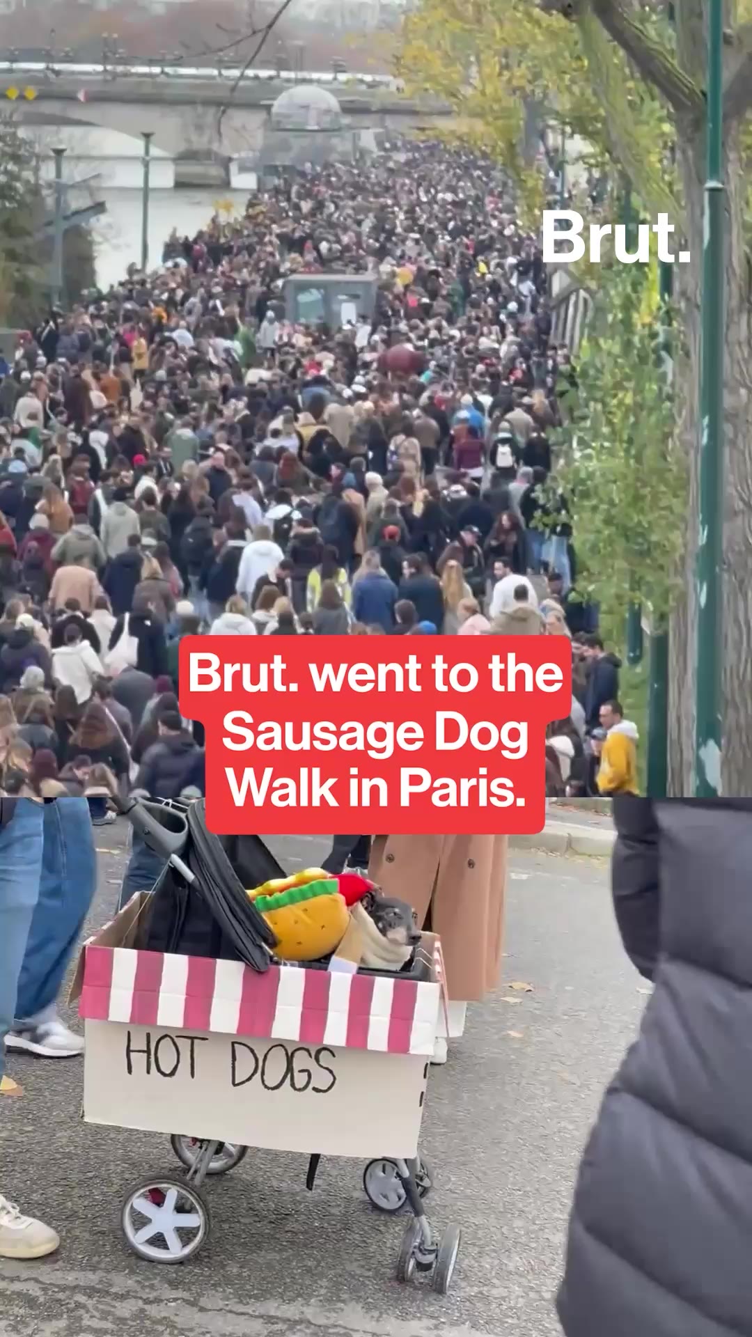 brut-went-to-the-sausage-dog-walk-in-paris-with-an-american-in-paris