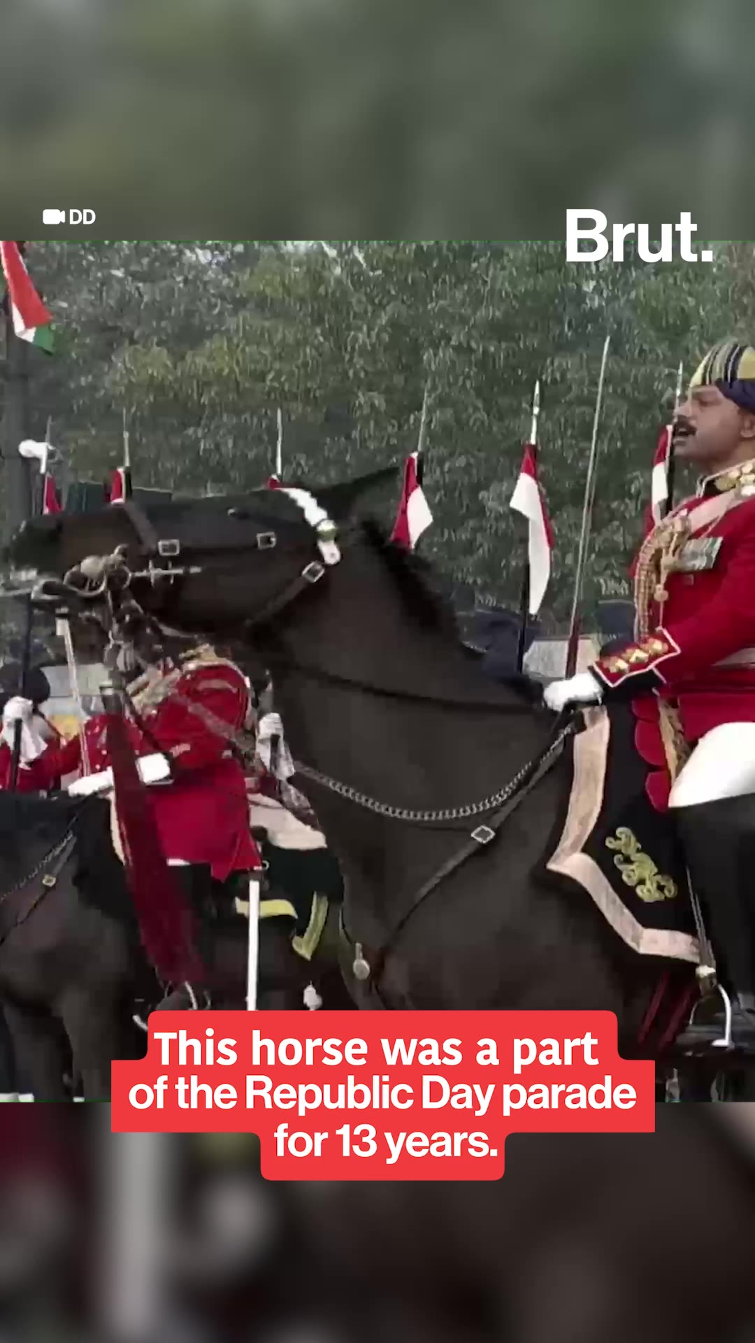 This horse was a part of the Republic Day parade for 13 years..