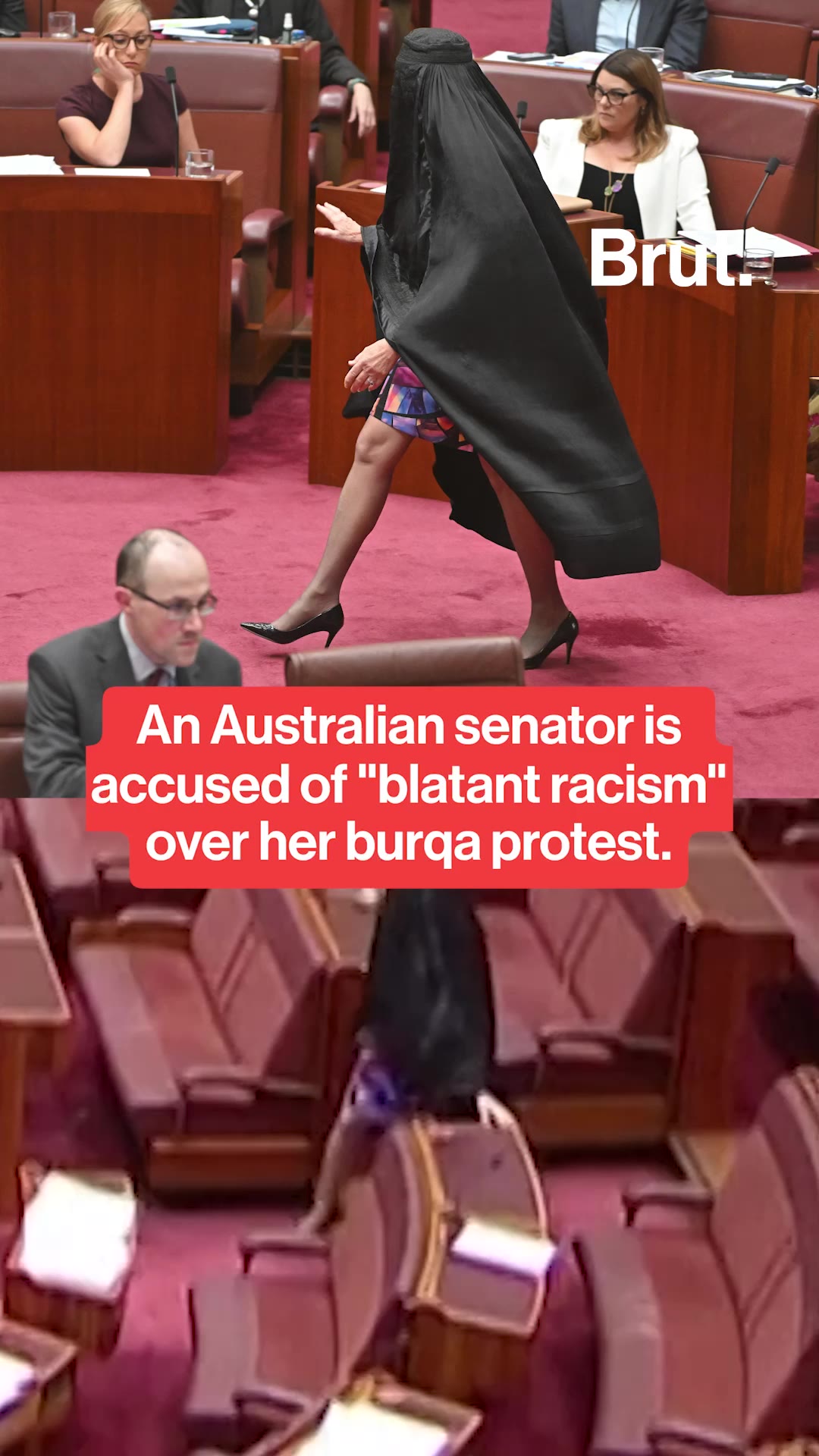 an-australian-senator-was-accused-of-racism-over-burqa-protest