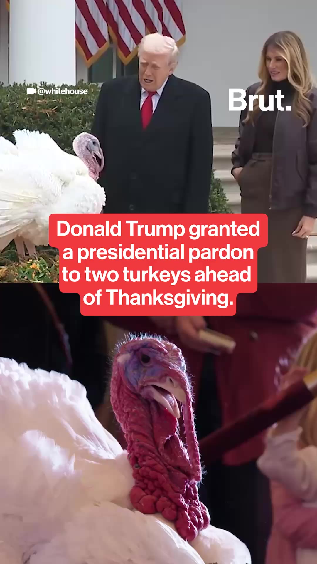 Donald Trump granted a presidential pardon to two turkeys ahead of Thanksgiving.