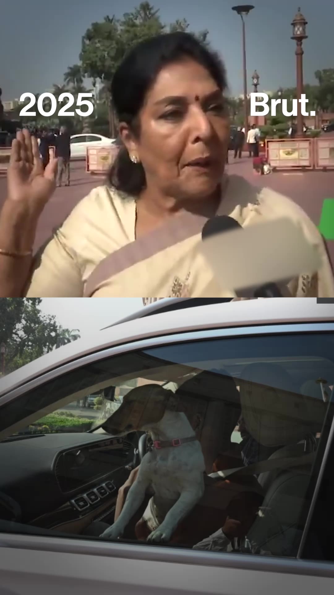 Congress MP Brings dog to Parliament