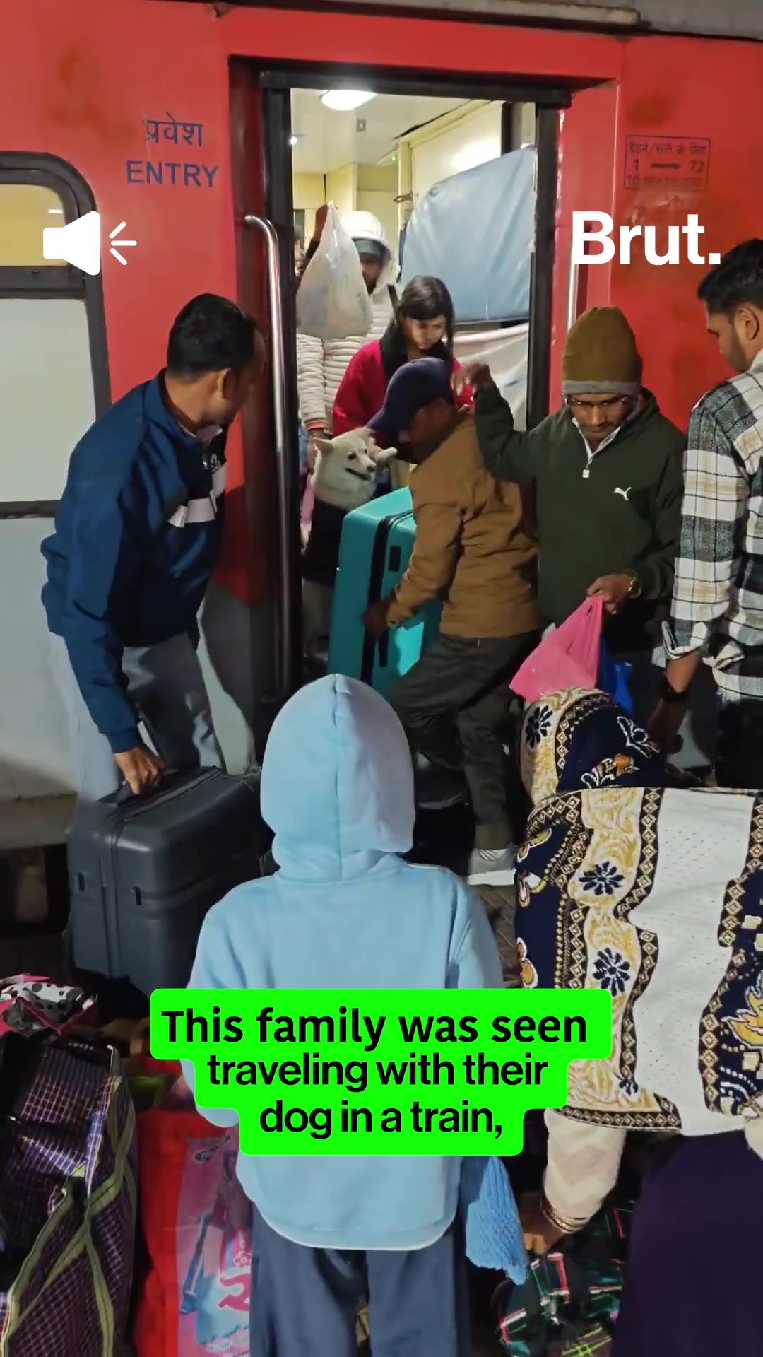 family-carries-dog-inside-3rd-ac-coach