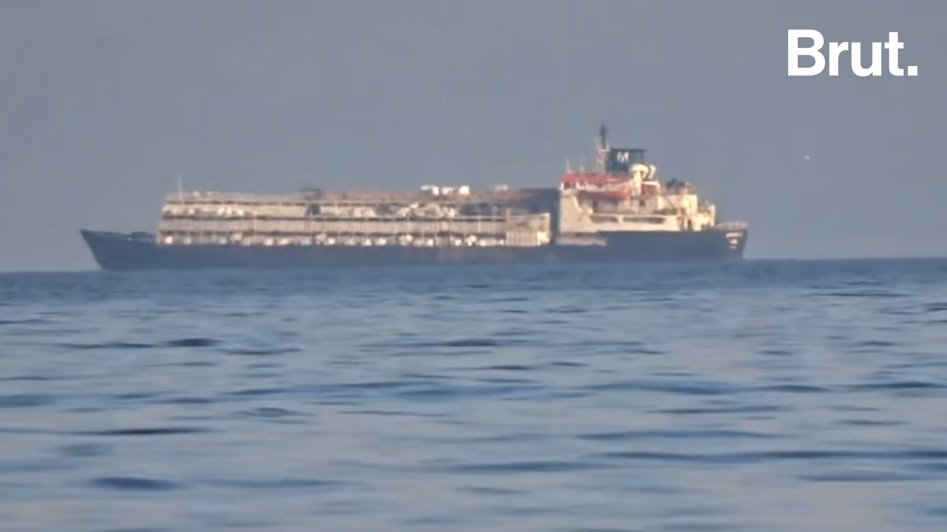 que-cache-le-cargo-de-l-horreur