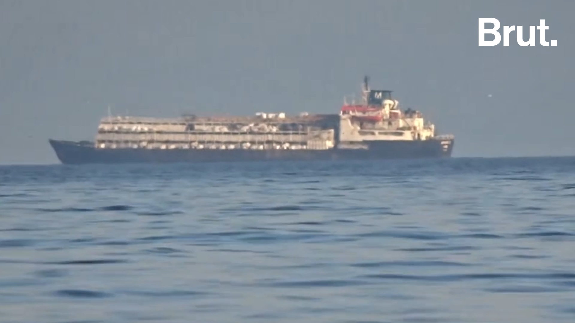 Que cache le “cargo de l’horreur” ?