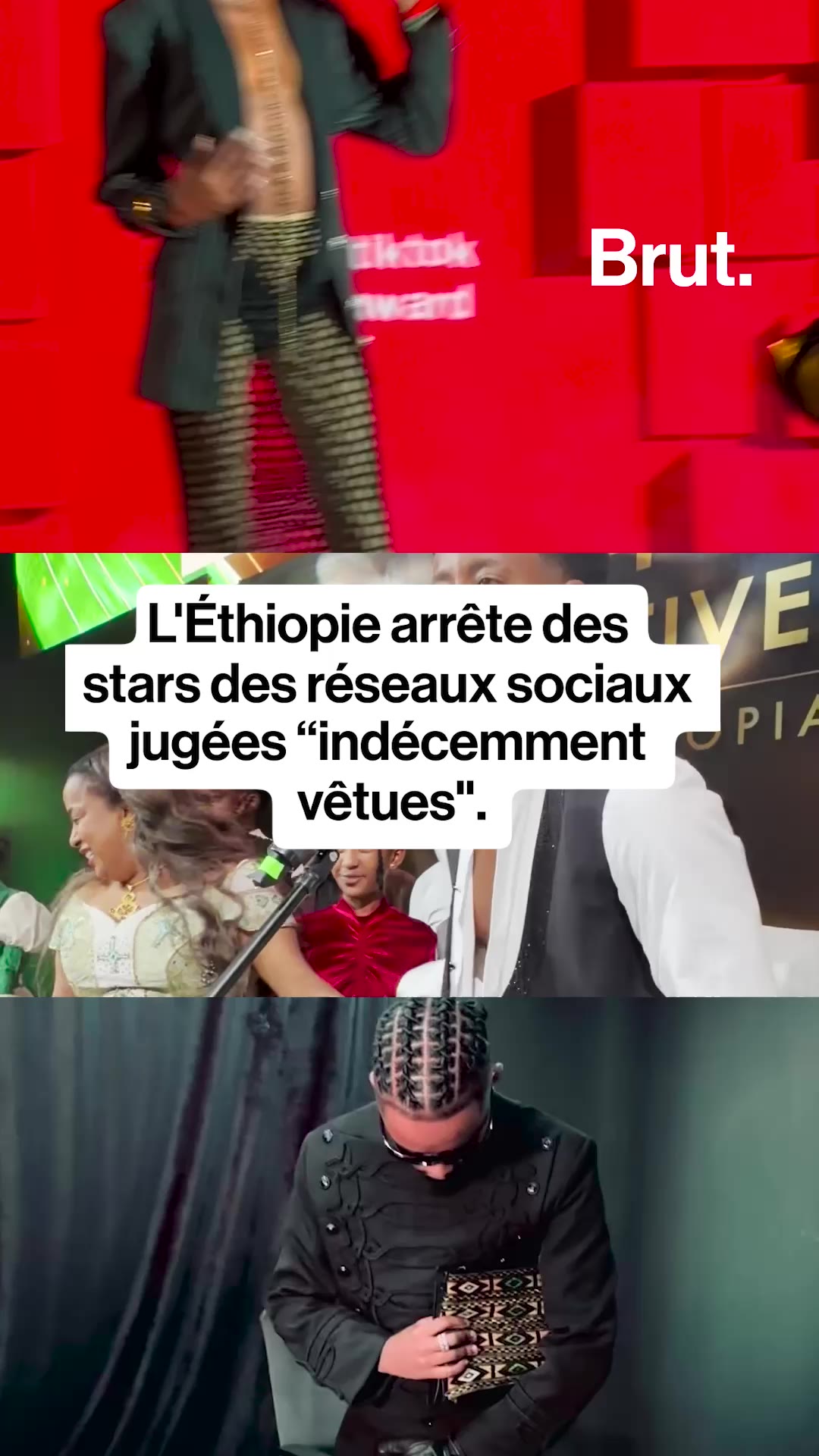 🇪🇹 Éthiopie : neuf TikTokeurs arrêtés pour "atteinte aux normes sociales".