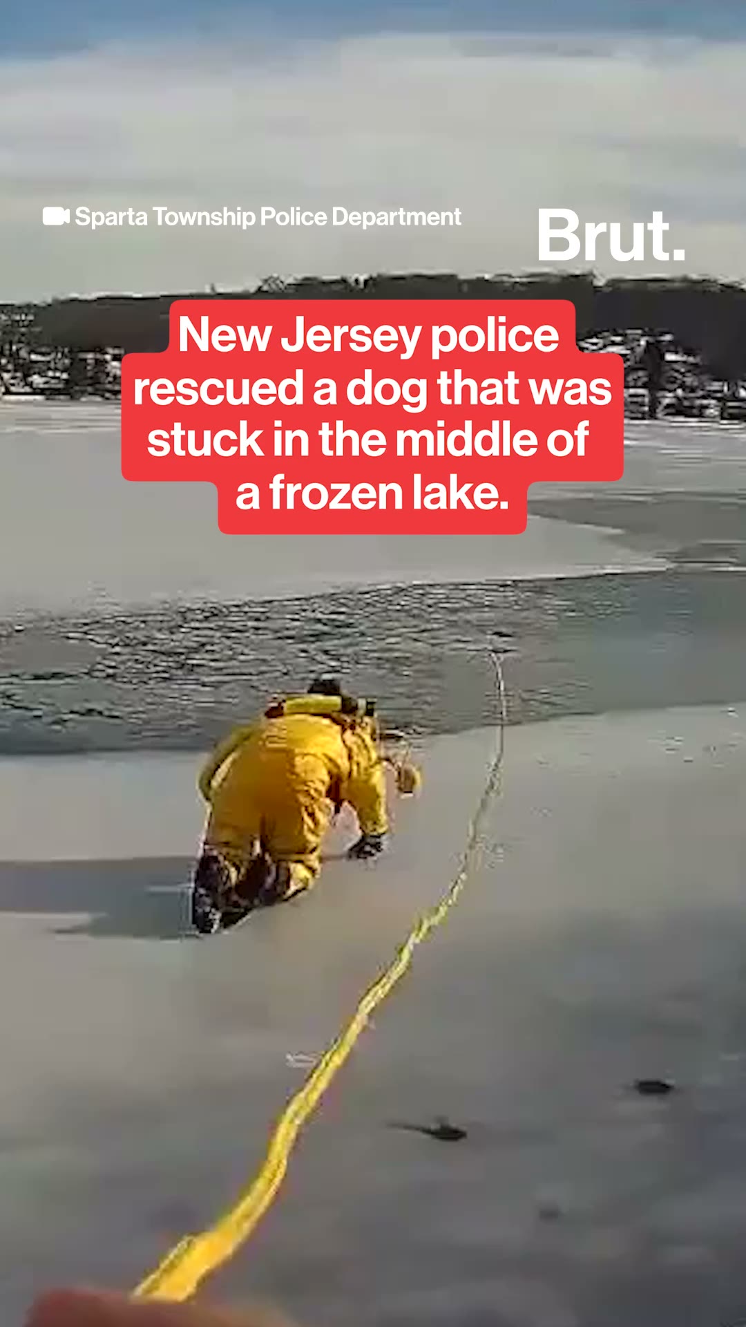 New Jersey police rescue a dog from a frozen lake.
