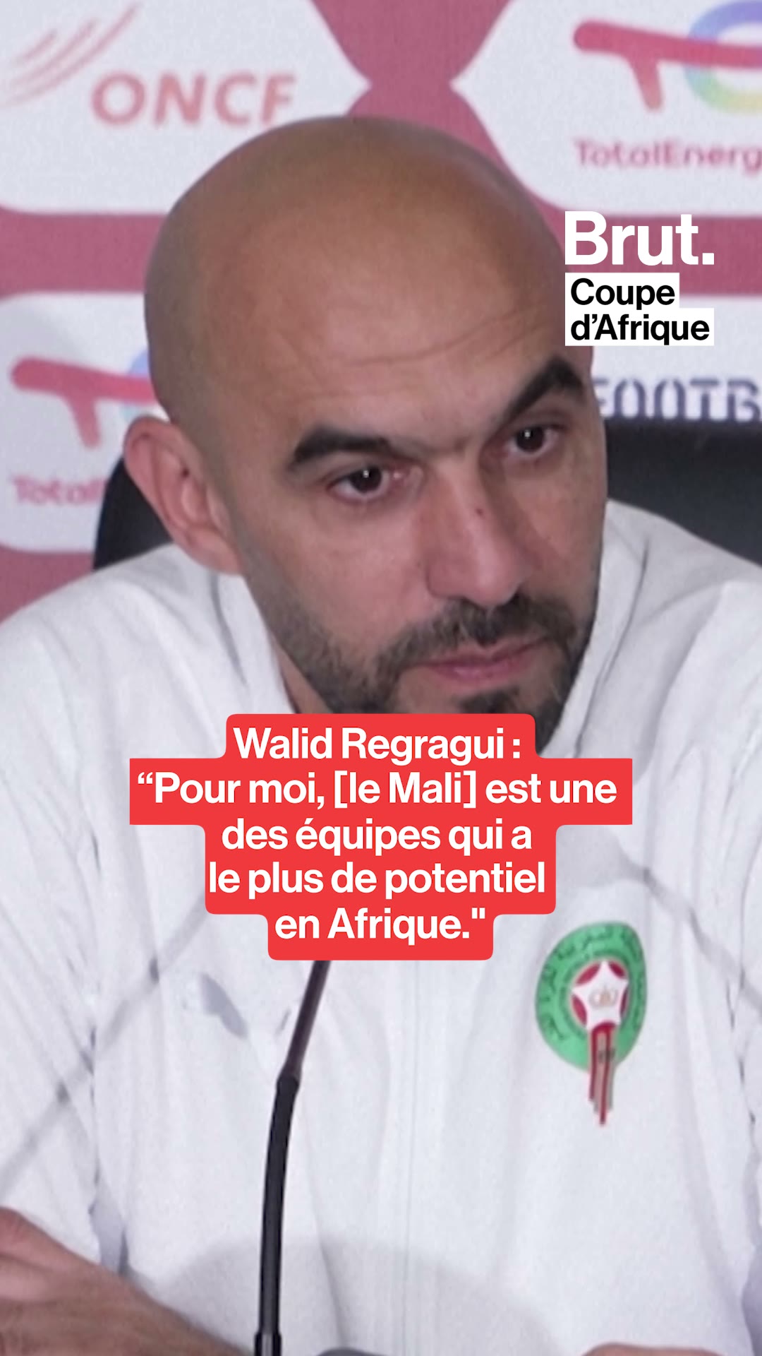 walid-regragui-pour-moi-le-mali-est-l-une-des-equipes-qui-a-le-plus-de-potentiel-en-afrique