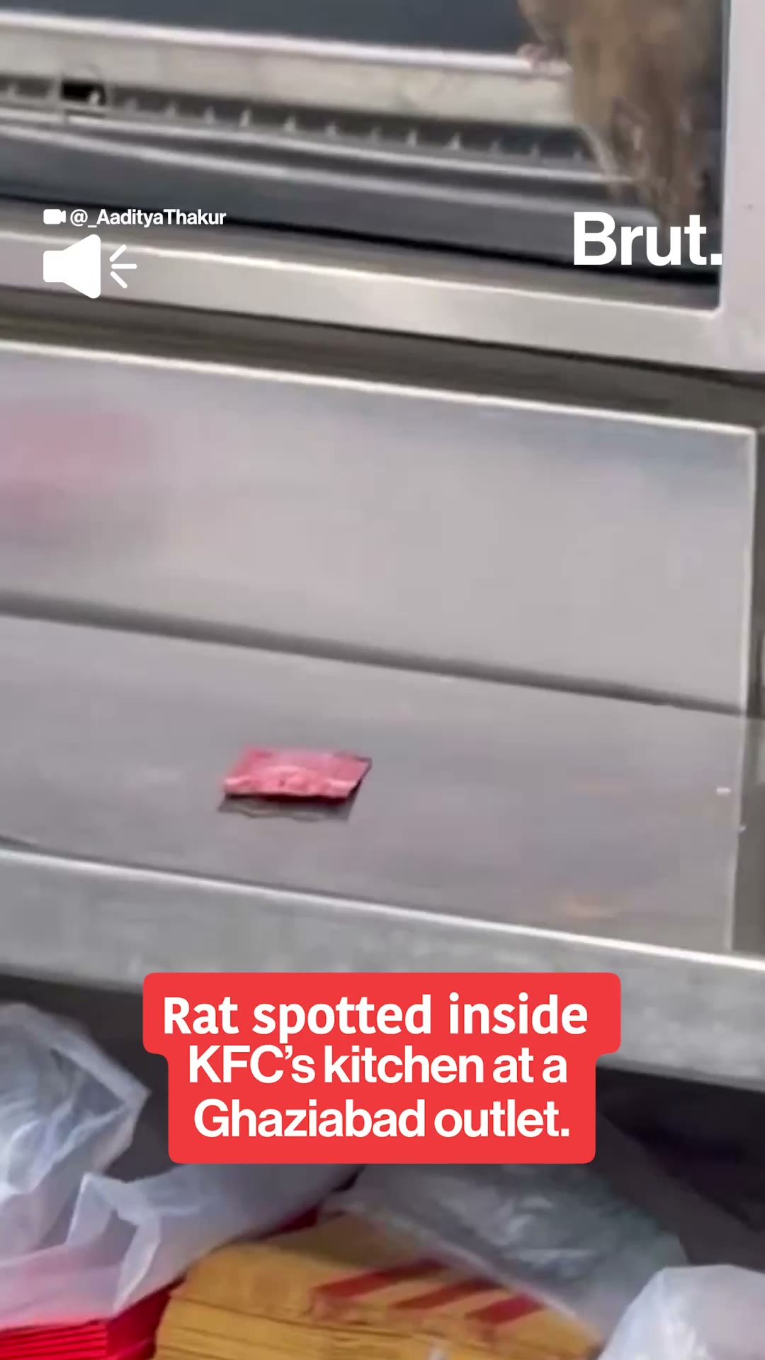 rat-spotted-in-kfc