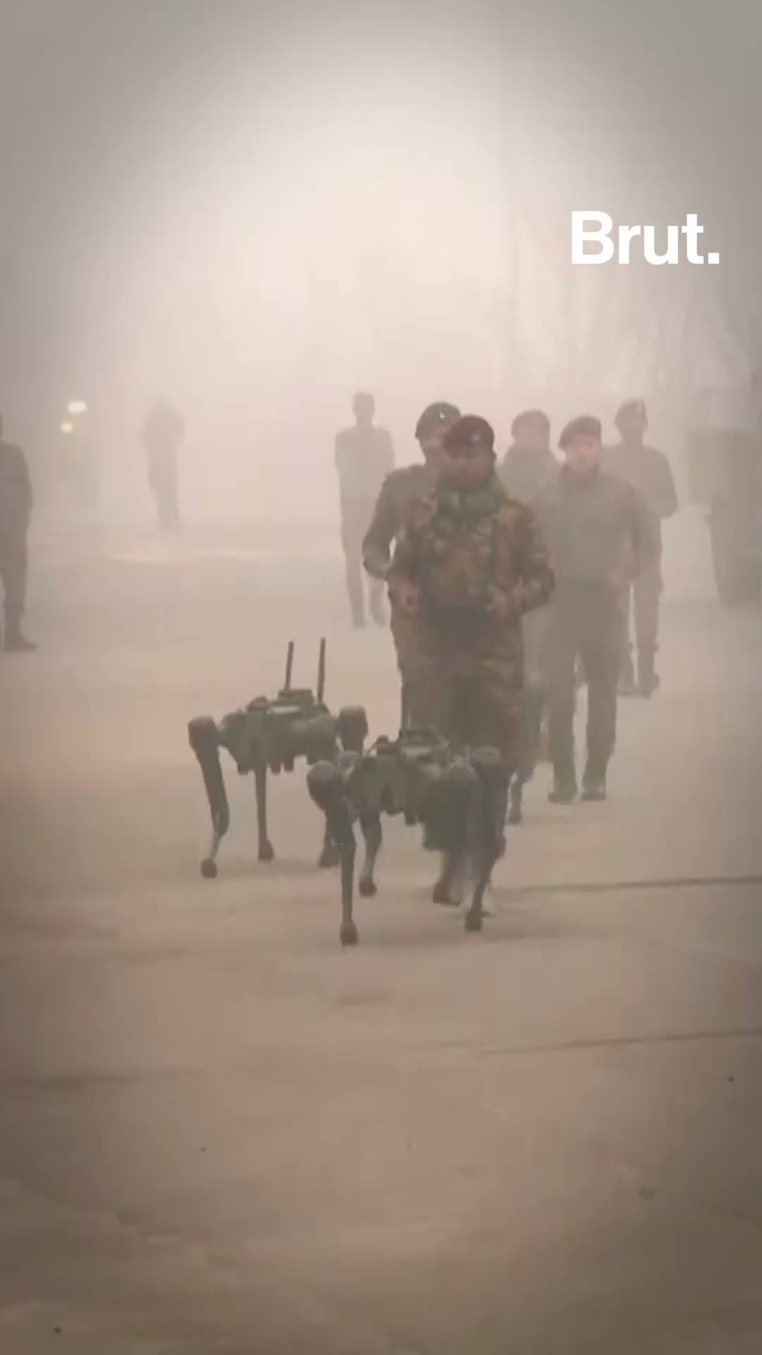 India’s Iron Dogs stole the show during the rehearsals for the 78th Army Day Parade in Jaipur.