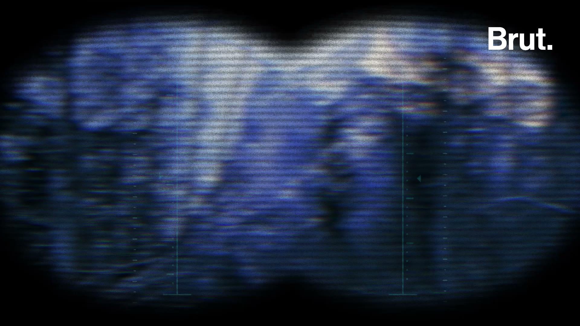 La traque d’un loup "insaisissable"