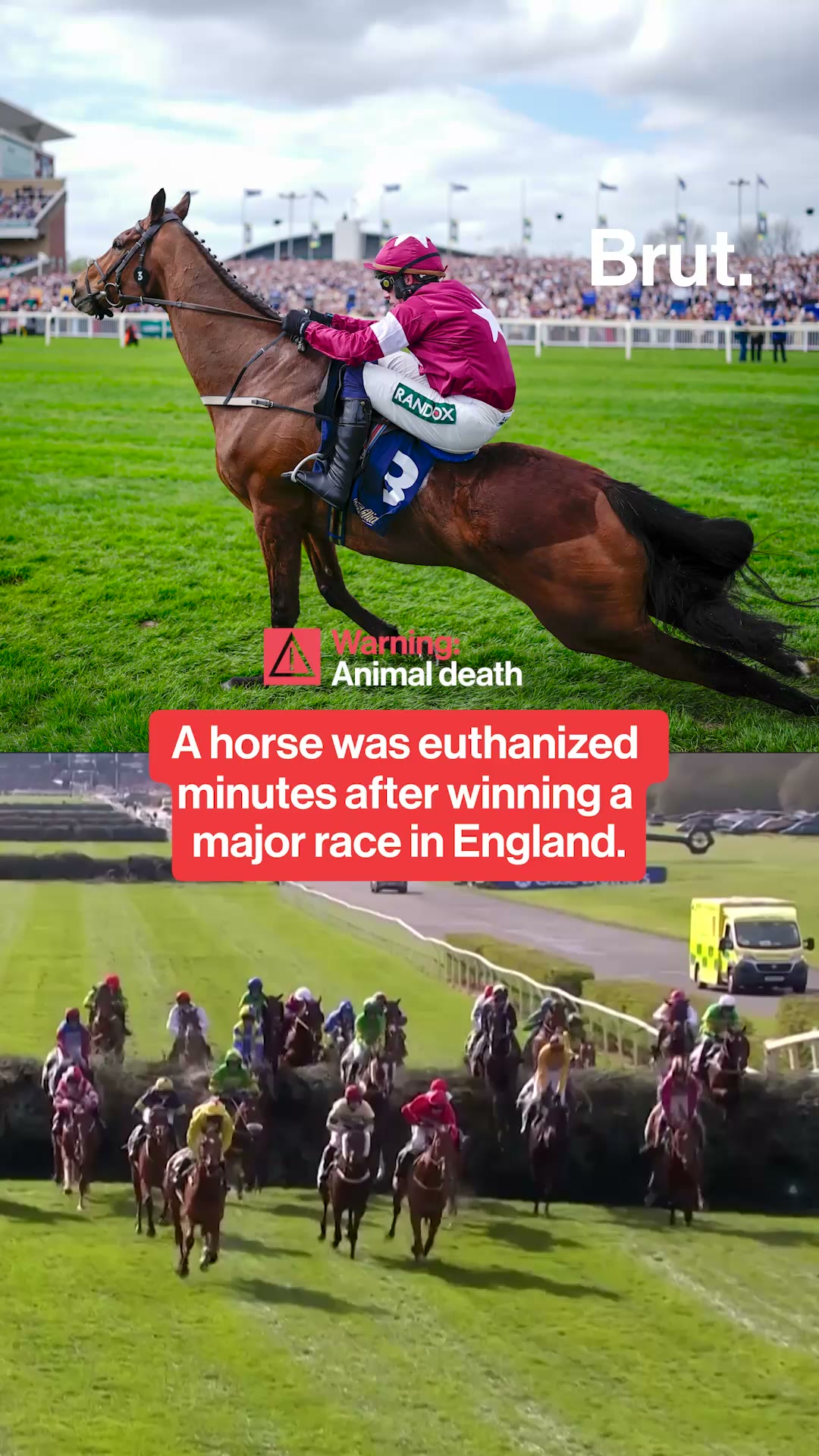 A horse was euthanized minutes after winning a major race in England.