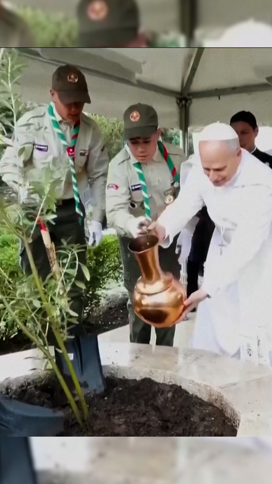 Le pape Léon XIV plante un olivier de paix en Algérie.