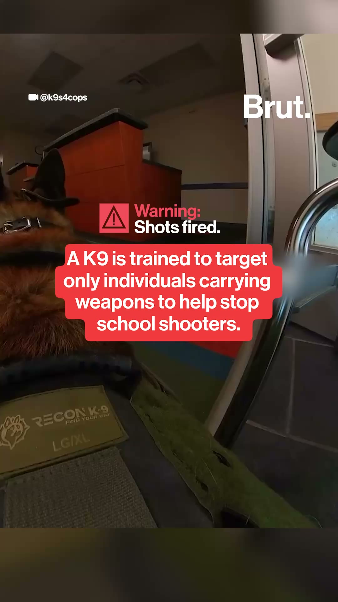 K9s train to protect schools.