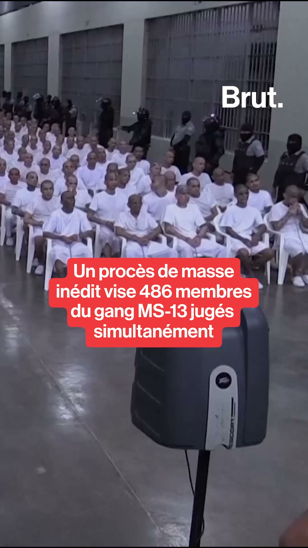 Un procès de masse inédit vise 486 membres du gang MS-13 jugés simultanément