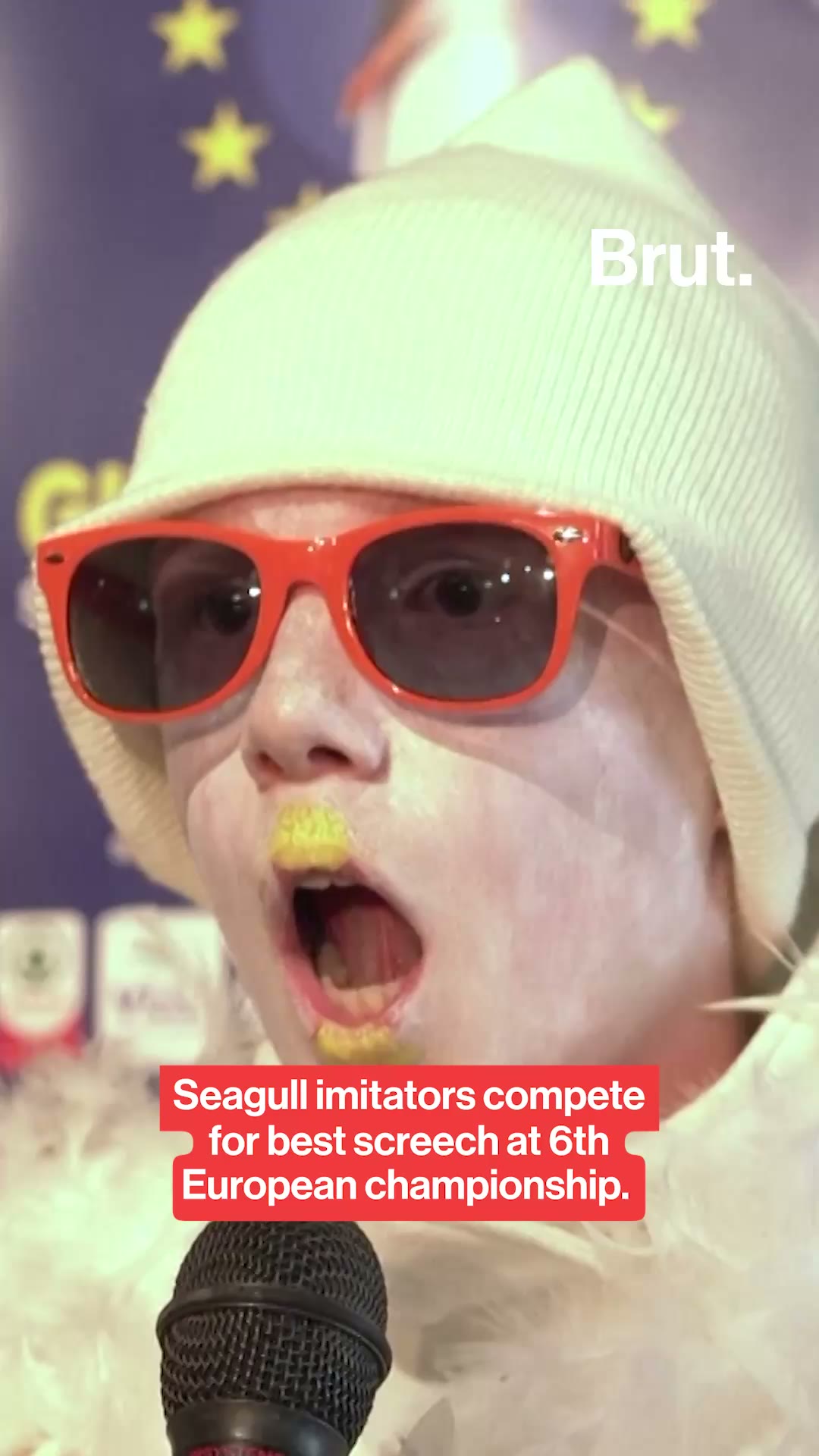 Seagull imitators compete for best screech at 6th European championship.