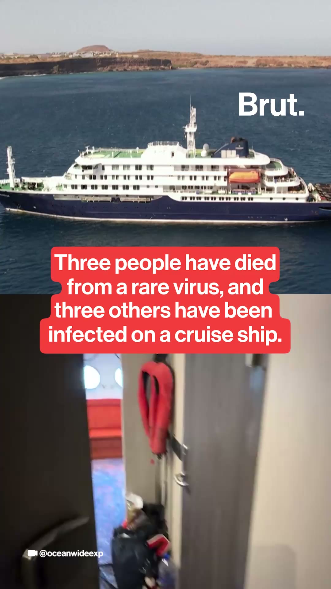 Three people have died from a rare virus, and three others have been infected on a cruise ship.