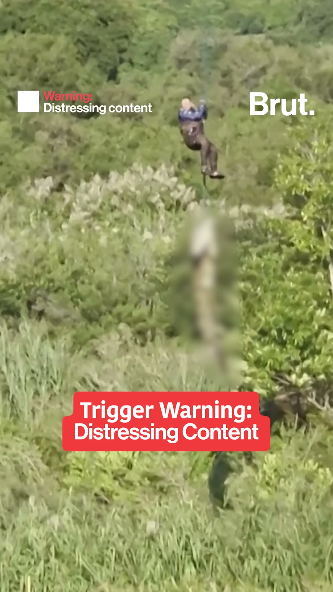 Human remains found inside crocodile in South Africa