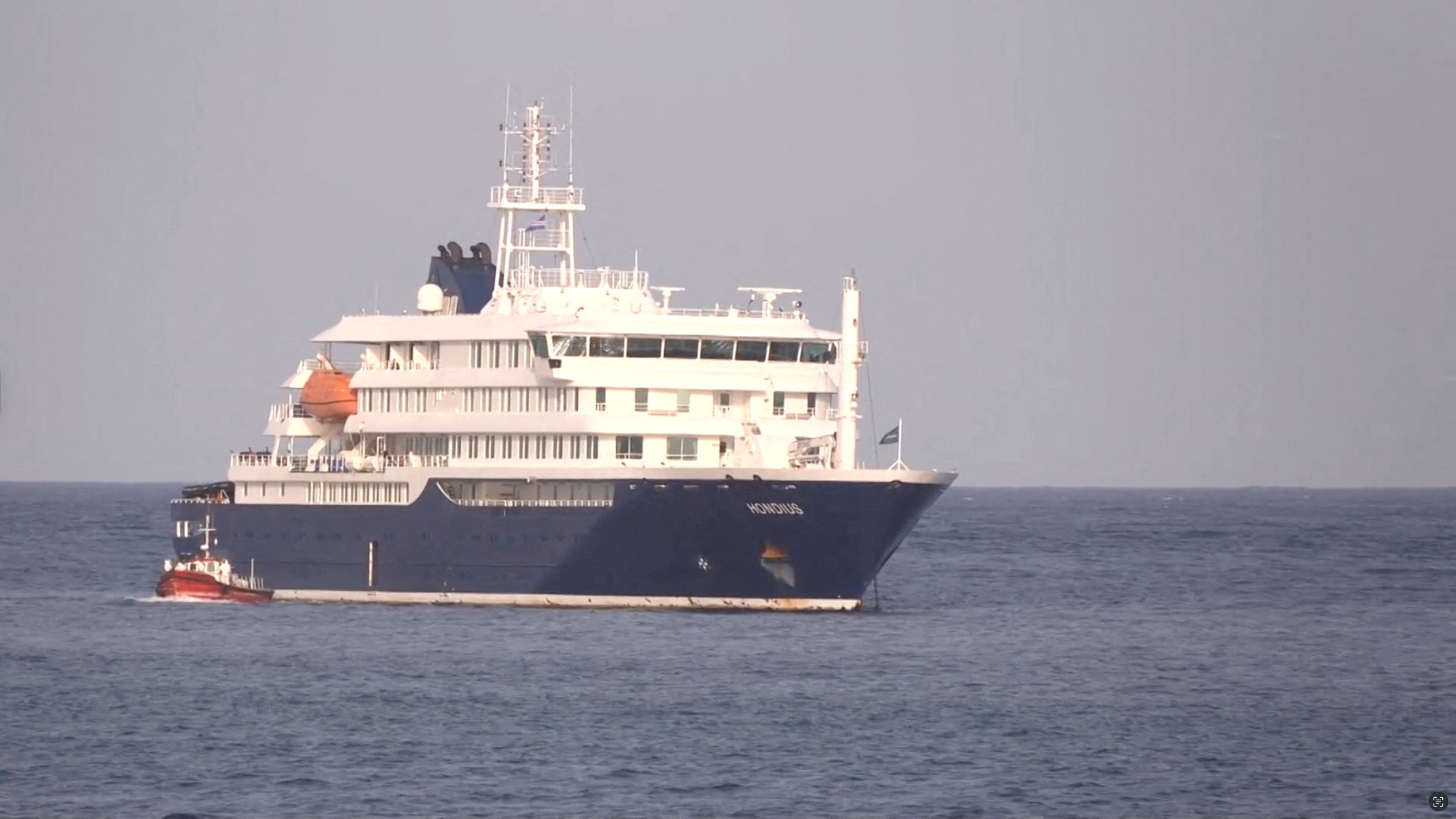 La souche d'hantavirus détectée sur le bateau MV Hondius est transmissible entre humains