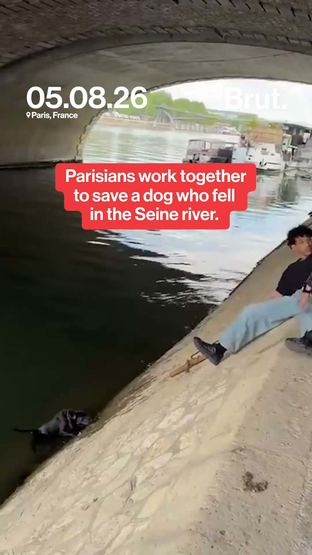 Parisians work together to save dog who fell in the Seine river.