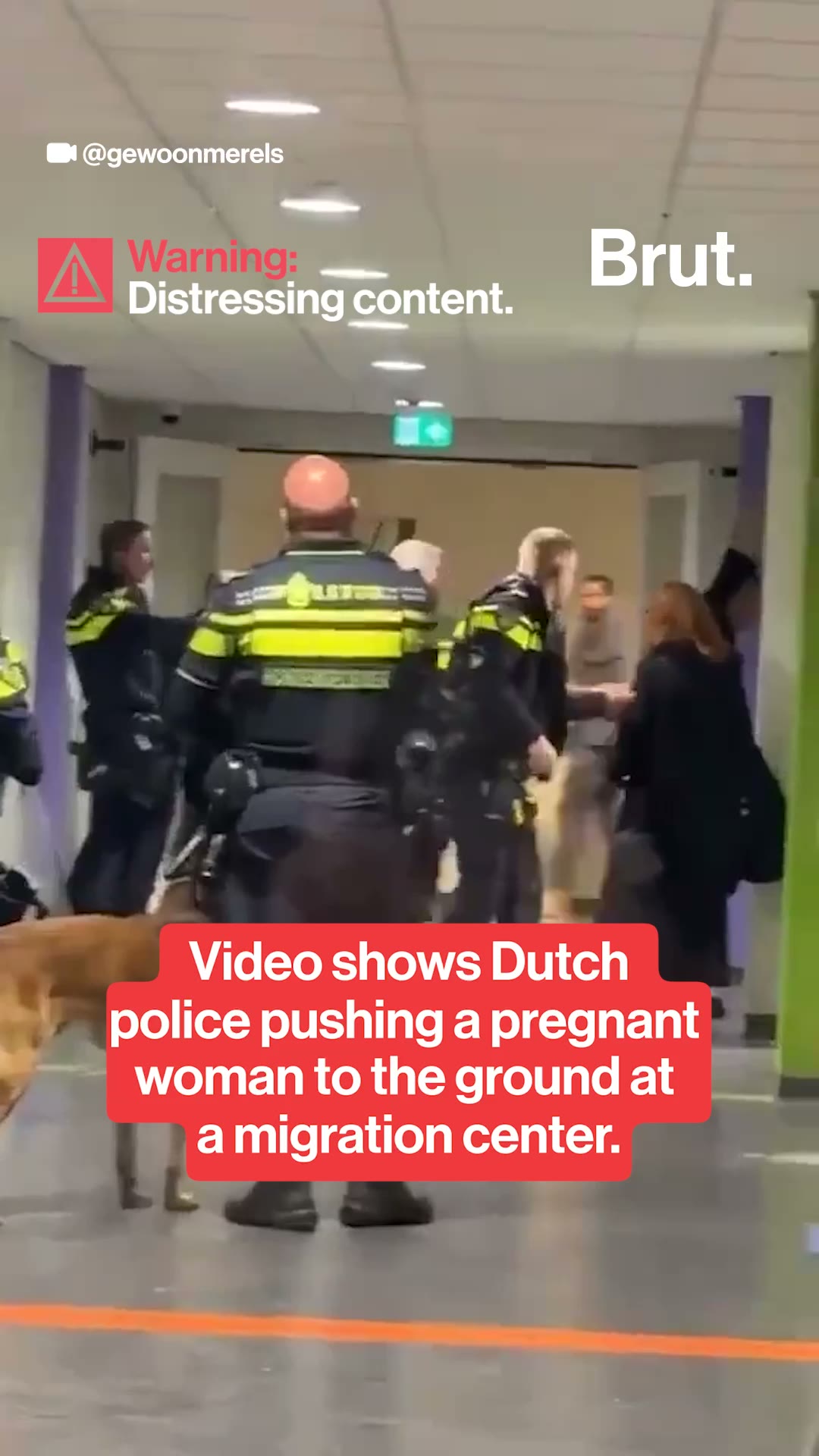 Dutch police officers throw pregnant woman to the ground at migration center.