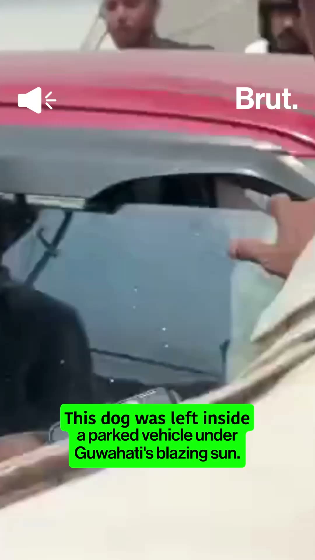 A dog was left inside a parked vehicle under Guwahati's blazing sun