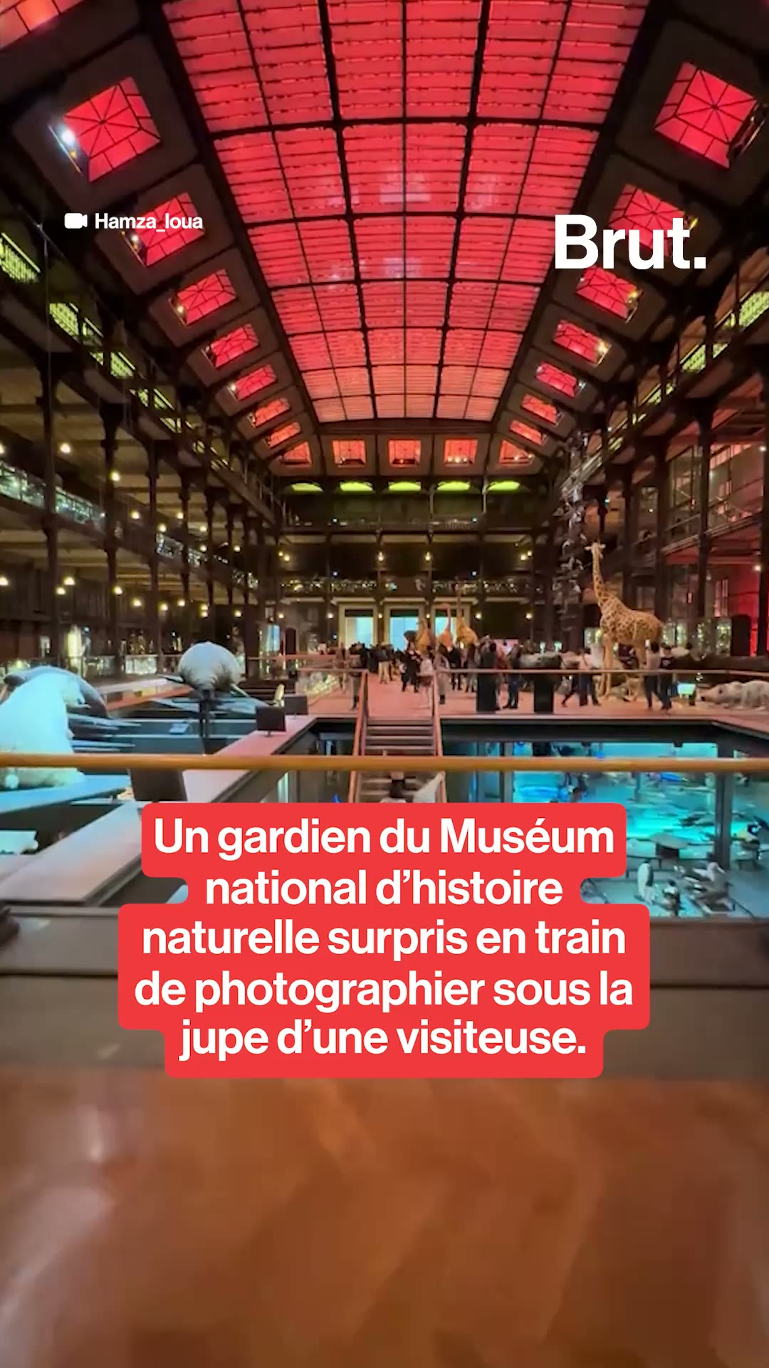 Un gardien du Muséum national d’histoire naturelle surpris en train de photographier sous la jupe d’une visiteuse.