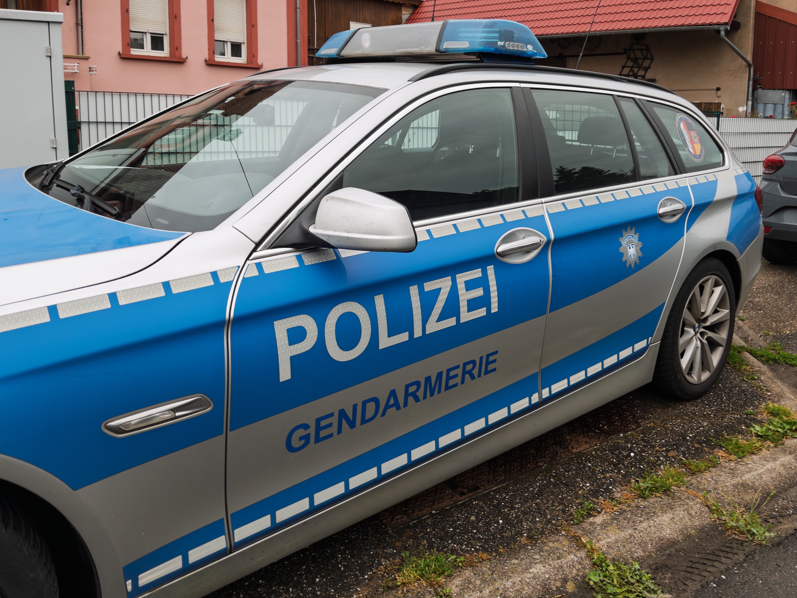 Arrestation en Allemagne d'un Roumain suspecté d'un complot néo-nazi contre son gouvernement