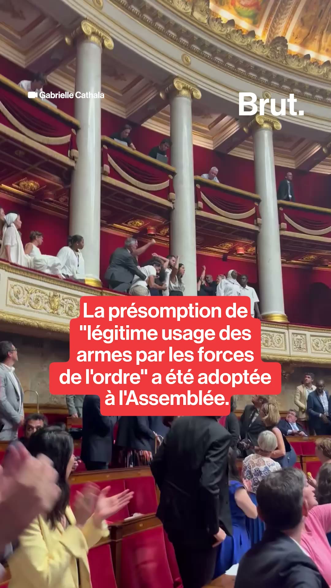La présomption de "légitime usage des armes par les forces de l'ordre" a été adoptée à l'Assemblée.