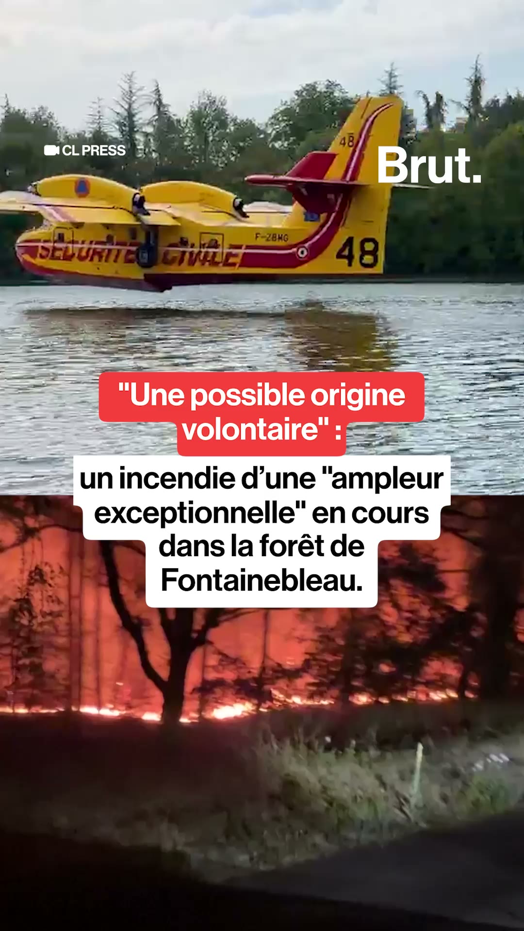 "Une possible origine volontaire" : un incendie d’une "ampleur exceptionnelle" est en cours dans la forêt de Fontainebleau.