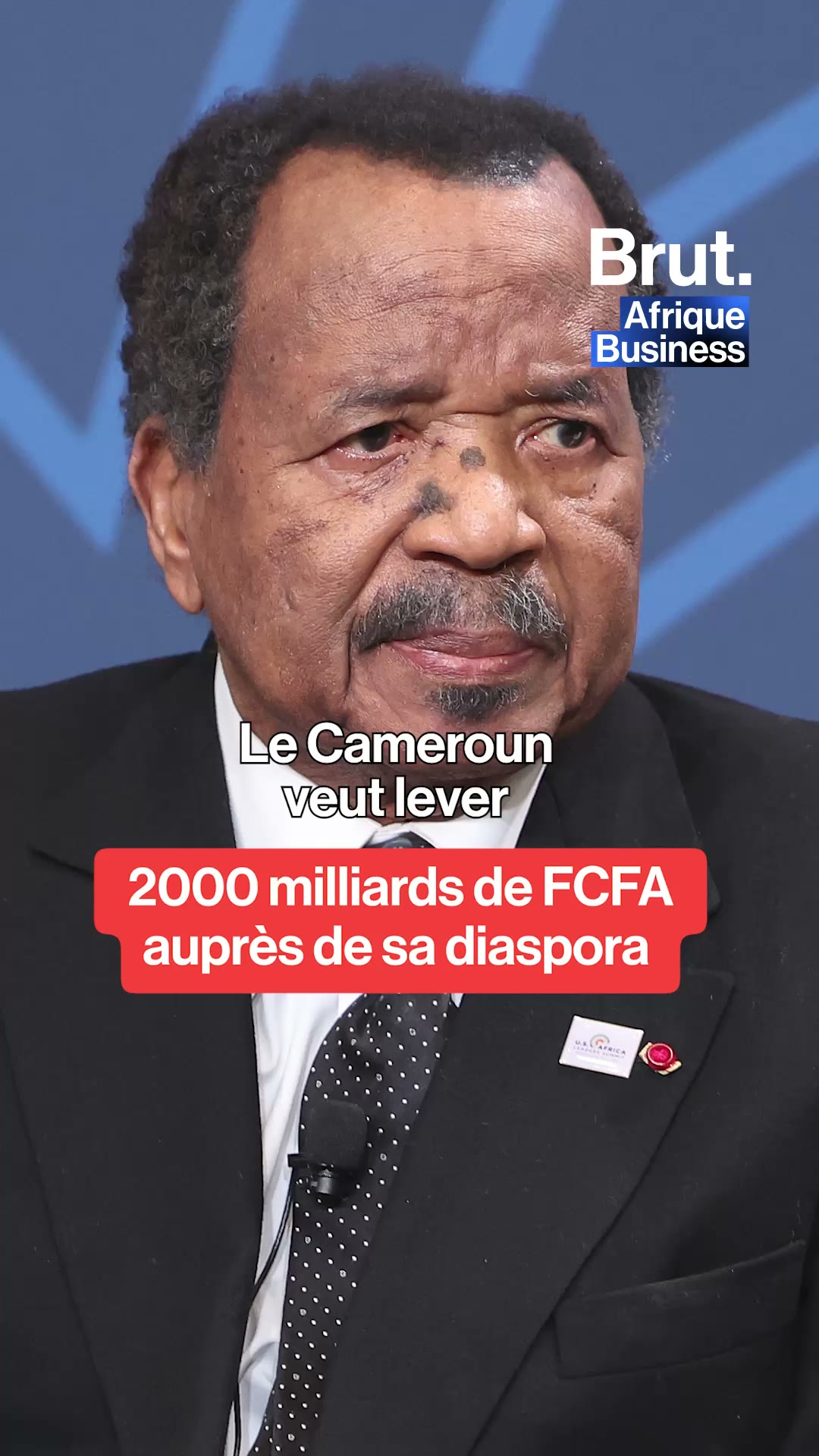 Cameroun : les autorités veulent mobiliser 2 000 milliards CFA auprès de la diaspora